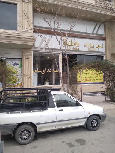 تهیه غذای سلیم