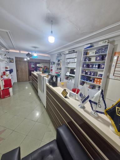 مداربسته و دزدگیر ویراتک