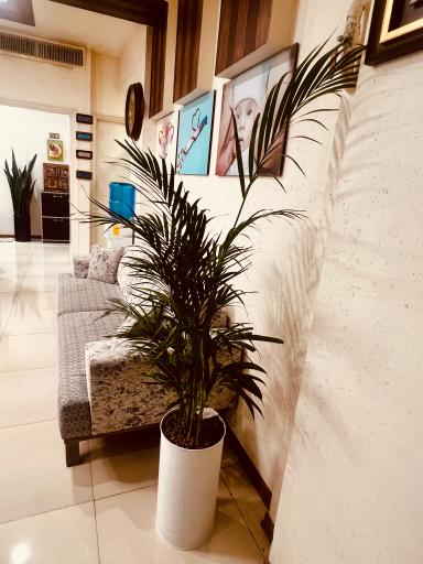 عکس دکتر فریده رزاقیان متخصص زنان و زایمان