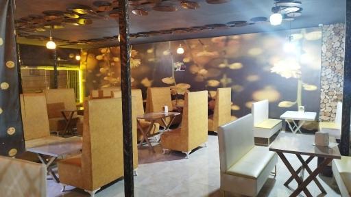 عکس آبمیوه و بستنی انارک