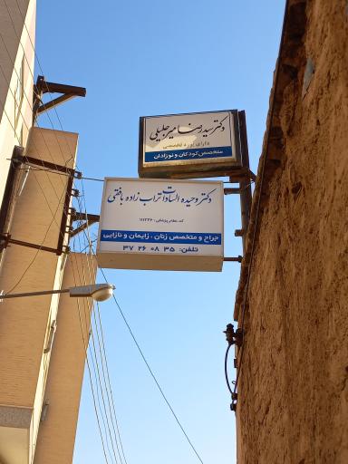 عکس دکتر وحیده السادات تراب زاده