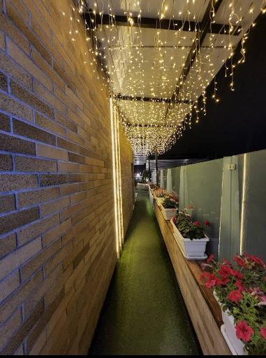 عکس کافه لایو