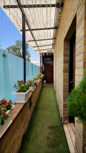 عکس کافه لایو