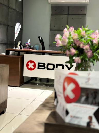 عکس باشگاه ورزشی ایکس بادی