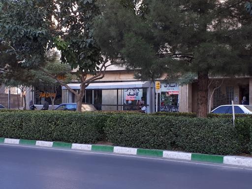 عکس  سجادیه 17