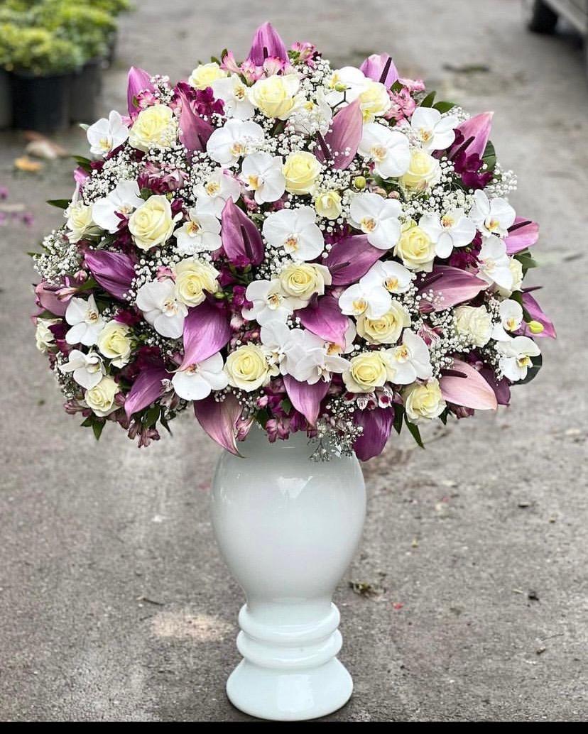 عکس گل مزرعه