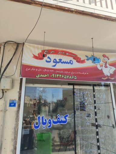 عکس مرغ ماهی مسعود