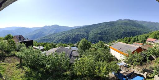 عکس جنگل افراتخته