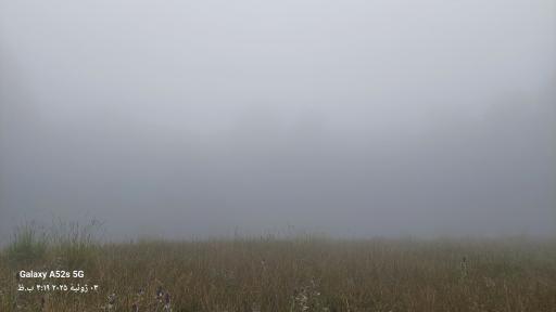 عکس جنگل افراتخته