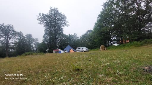 عکس جنگل افراتخته