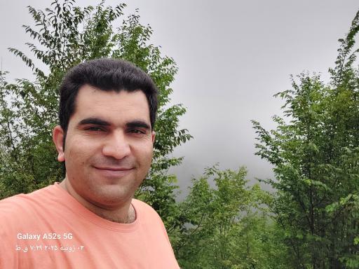 عکس جنگل افراتخته