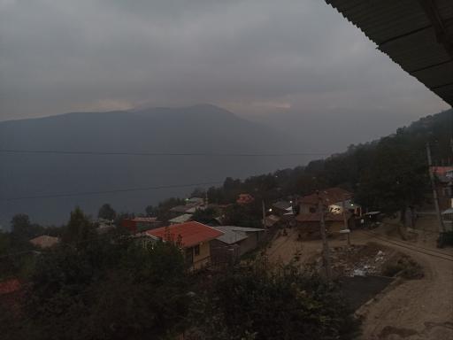 عکس جنگل افراتخته
