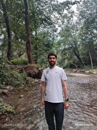 عکس جنگل افراتخته