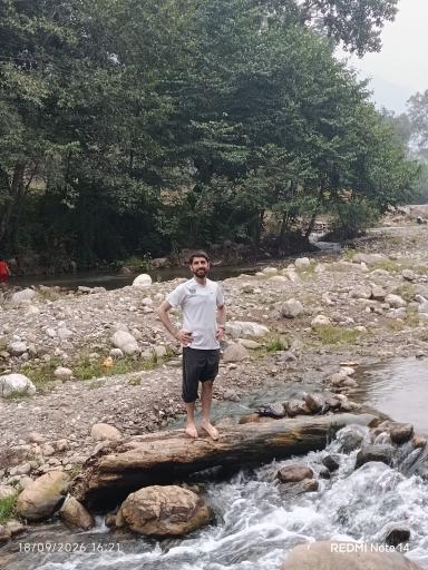 عکس جنگل افراتخته
