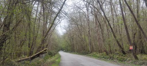 عکس پارک جنگلی نور