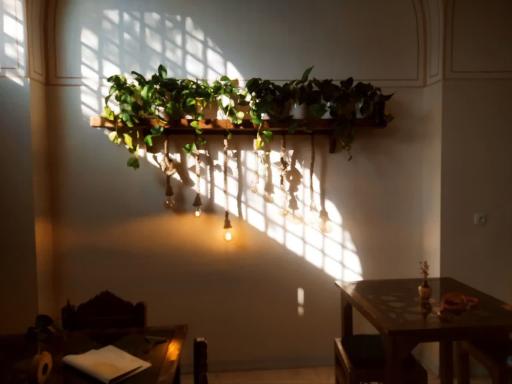 کافه می جان