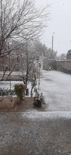 عکس خواجو شهر