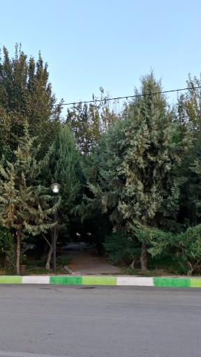 عکس پارک نیلوفر