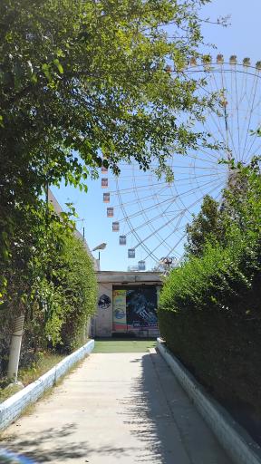 عکس پینت بال مشهد (پارک ملت)