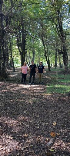 عکس پارک جنگلی نور