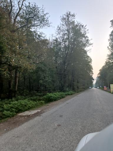 عکس پارک جنگلی نور