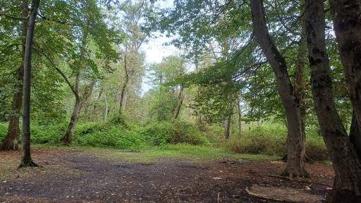 عکس پارک جنگلی نور