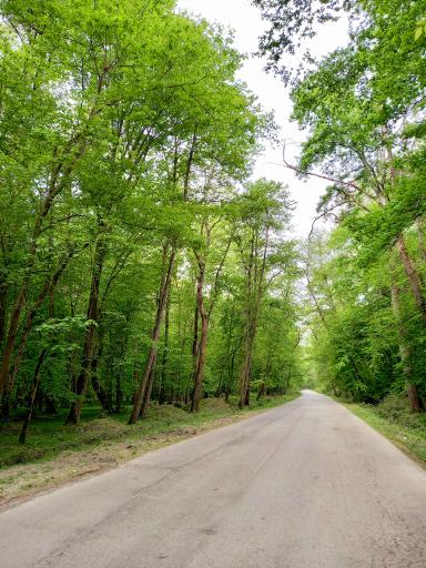 عکس پارک جنگلی نور