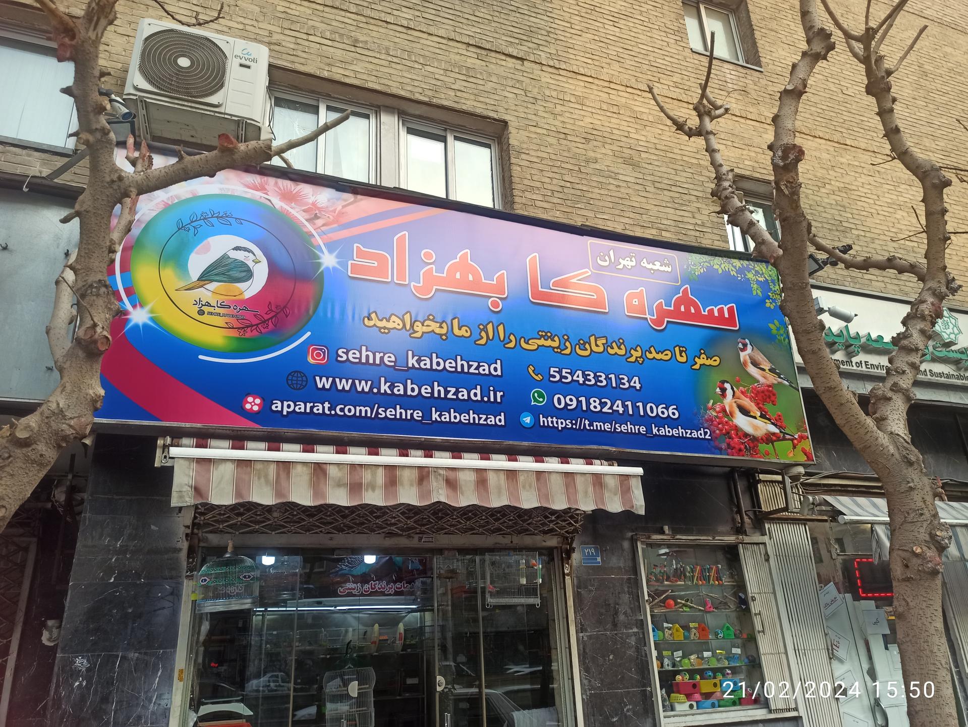 عکس سهره کا بهزاد