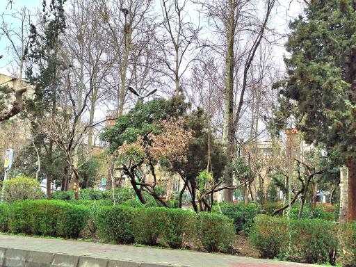 عکس پارک آزادی