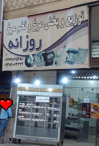 عکس توزیع و پخش مرغ و تخم مرغ روزانه