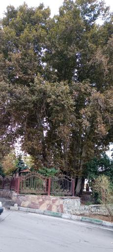 عکس پارک کن قدیم