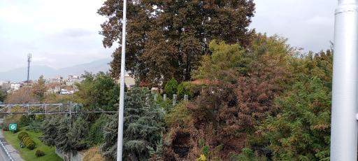 عکس پارک کن قدیم