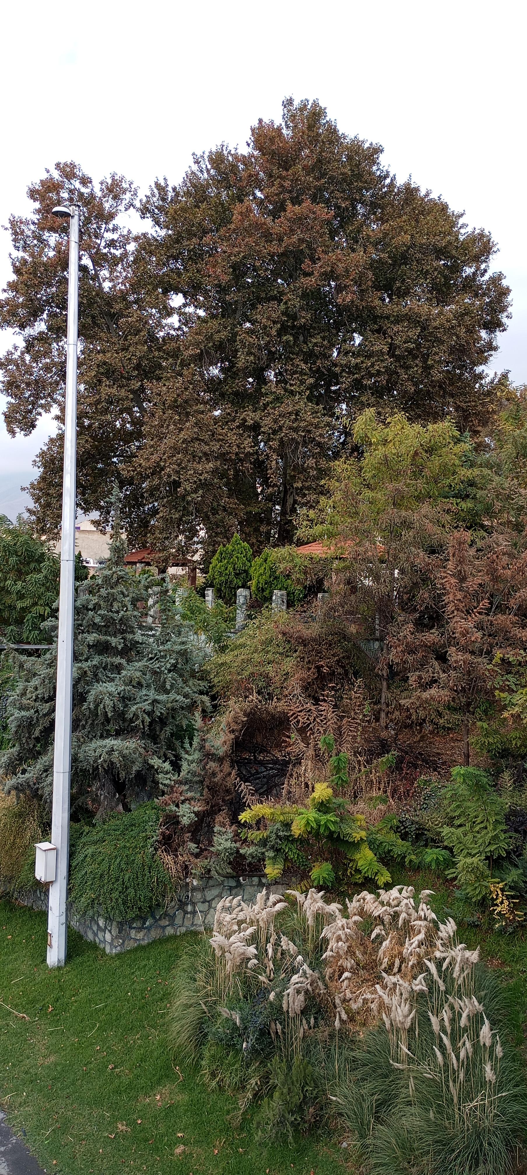 عکس پارک کن قدیم