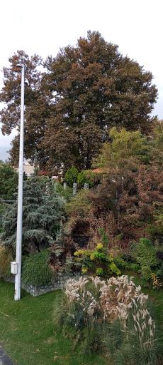 عکس پارک کن قدیم