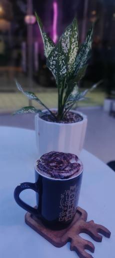 عکس کافه سرویس