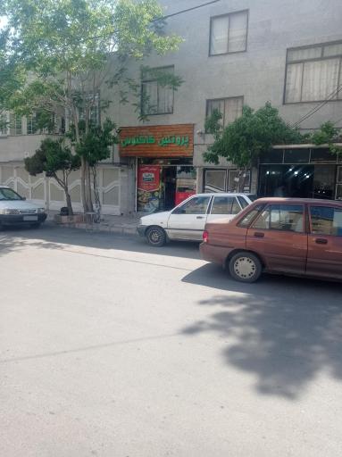 عکس پروتئین کاکتوس