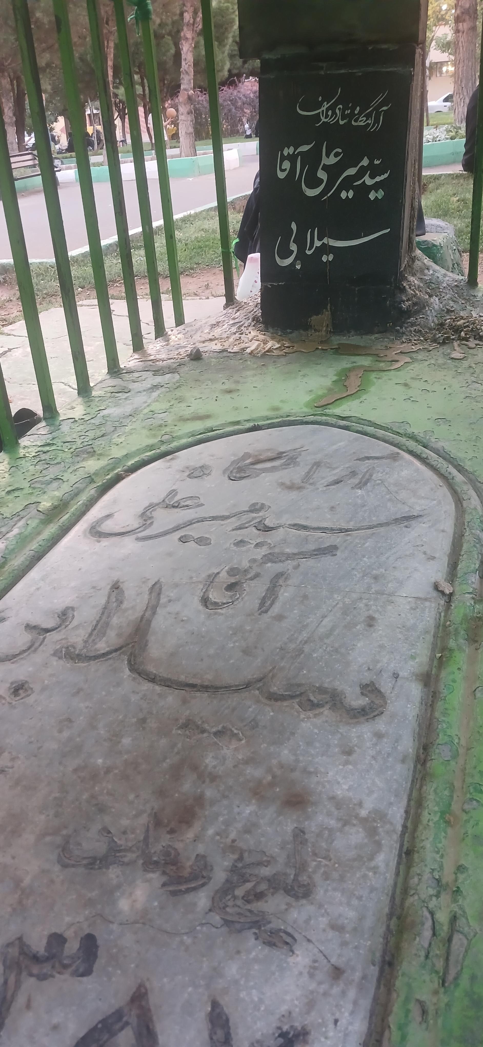 عکس بوستان شقایق