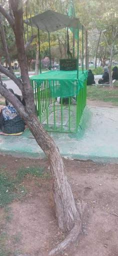 بوستان شقایق