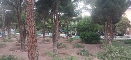 عکس بوستان شقایق