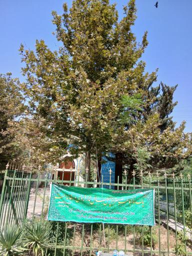 عکس مسجد بوستان نهج البلاغه