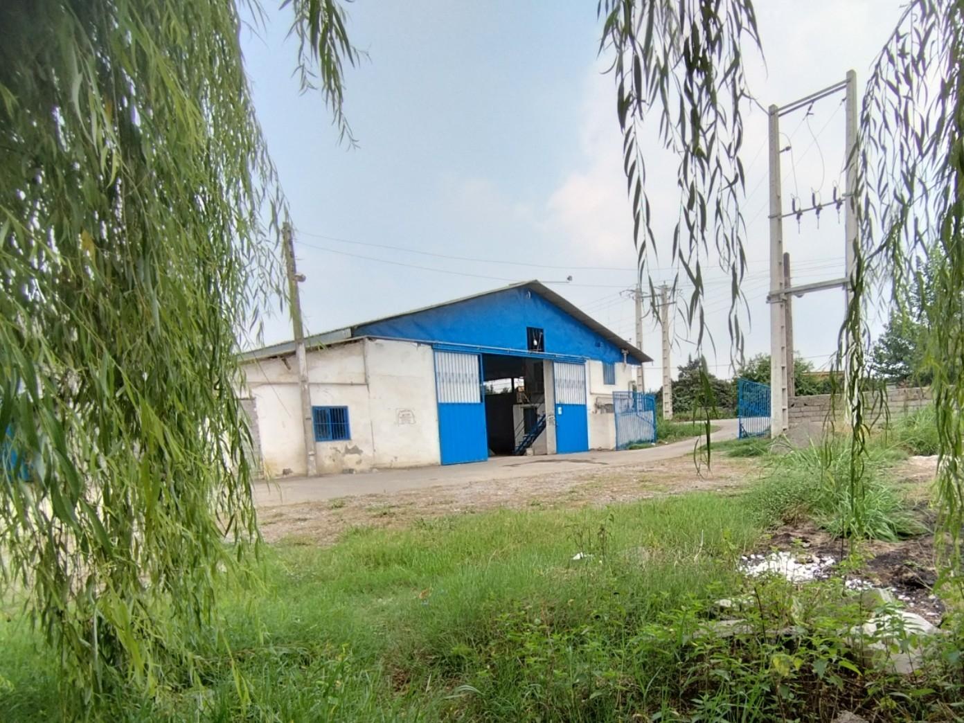 عکس کارخانه شالیکوبی جباری