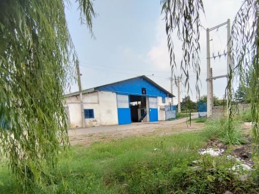 عکس کارخانه شالیکوبی جباری