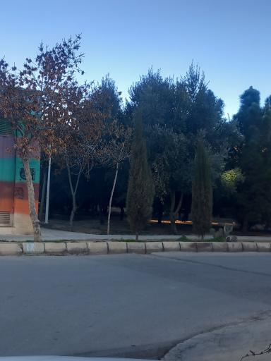 عکس فضای سبز