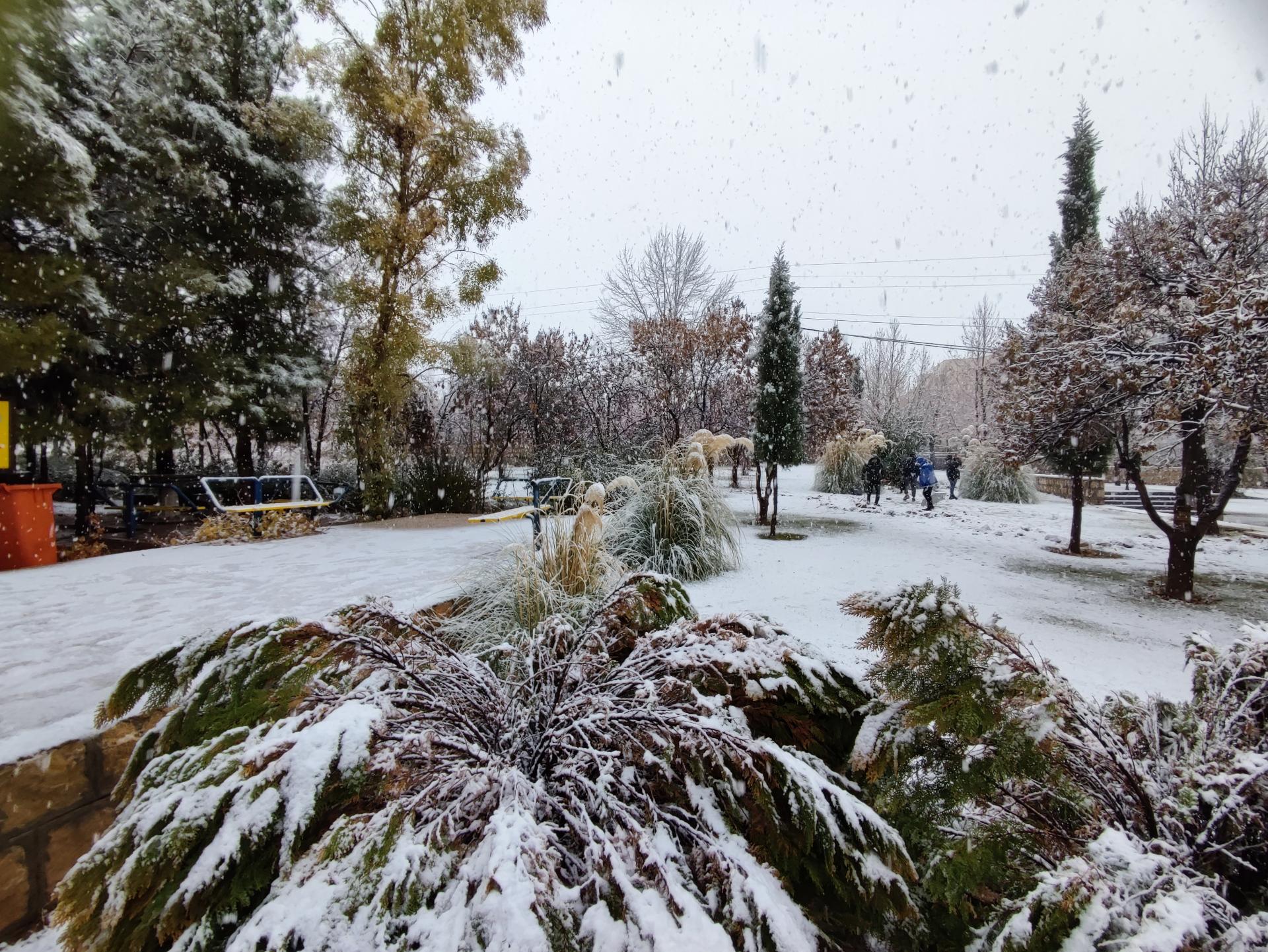 عکس ساختمان مرکزی دانشگاه آزاد شیراز
