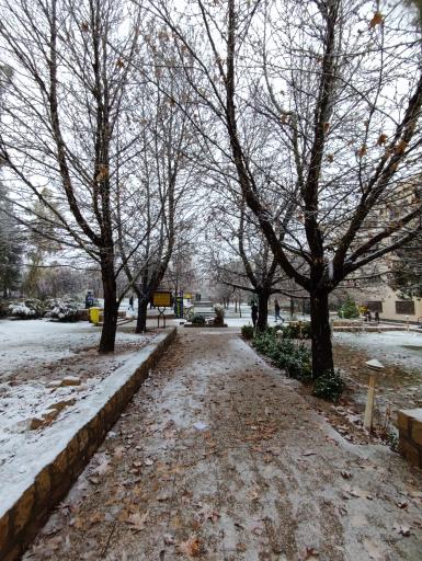 عکس ساختمان مرکزی دانشگاه آزاد شیراز