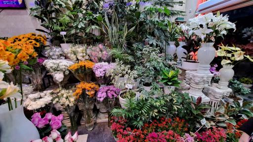 عکس گل فروشی نیلوفر