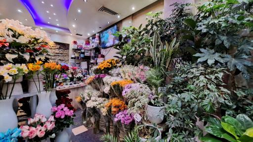 عکس گل فروشی نیلوفر