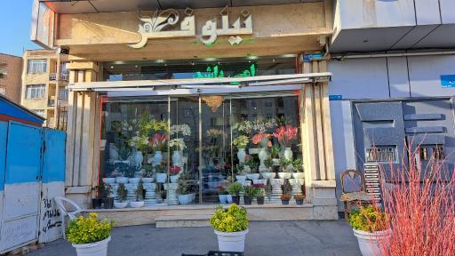 عکس گل فروشی نیلوفر