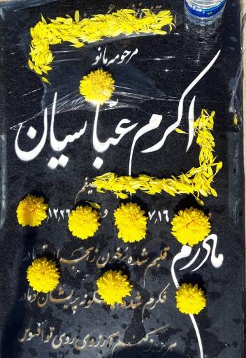 عکس آرامگاه مرحومه اکرم عباسیان