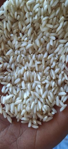 عکس برنجکوبی و لیزر ستاره جنوب 